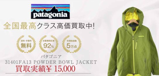 パタゴニア 31401FA13 POWDER BOWL JACKET マウンテンパーカー 画像