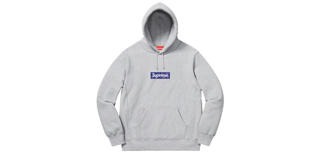 Box Logo Hooded Sweatshirt